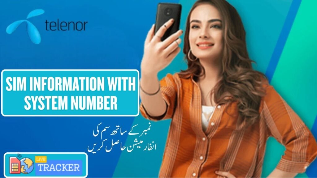 sim information with system number